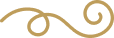 Vector