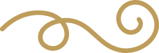 Vector